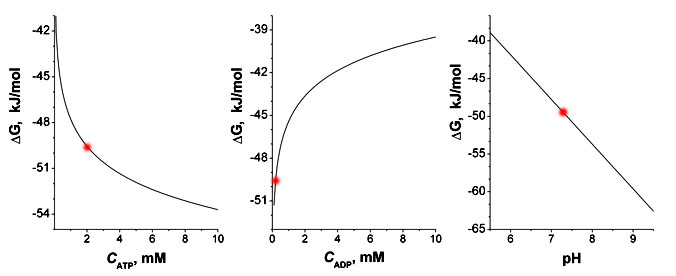 Graphs of Delta G dependence on C(ATP), C(ADP) and pH.